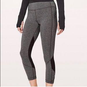 Lulu pace rival crop